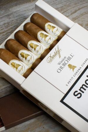 Davidoff Winston Churchill (Artist) Petit Corona Cigars – Pack of 5
